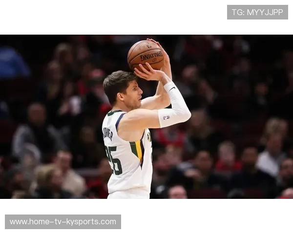 灰熊1换4获利：科沃德表现超值，灰熊科技